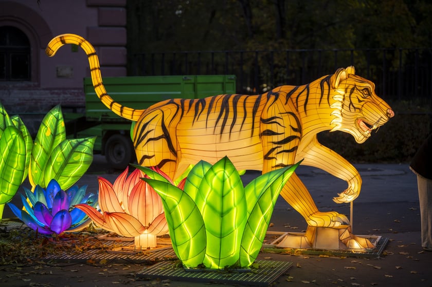 Wystawa Garden of Lights: Dzika Azja we wrocławskim zoo, październik 2024
